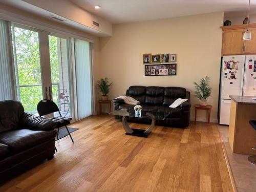 109 300 Vista Lane, Thunder Bay, ON - Indoor Photo Showing Living Room