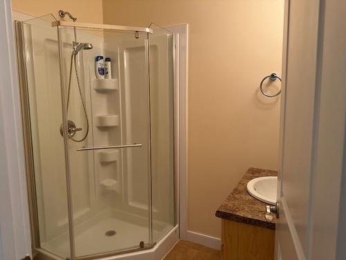 109 300 Vista Lane, Thunder Bay, ON - Indoor Photo Showing Bathroom