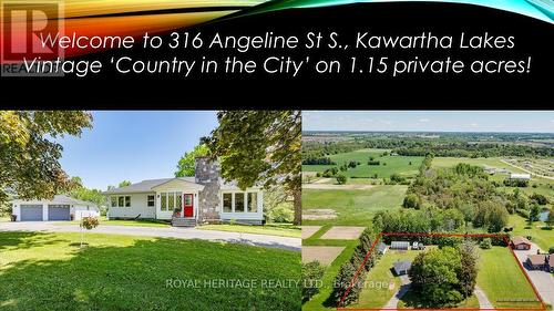 316 Angeline Street S, Kawartha Lakes, ON - Outdoor