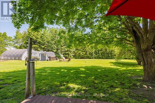 316 Angeline Street S, Kawartha Lakes, ON - Outdoor