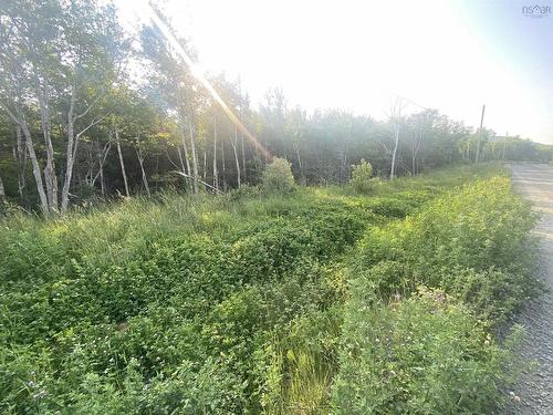 Lot Mabou Mines Road, Mabou Harbour, NS 