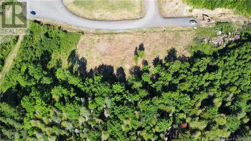 Lot 12-04 Riverview Drive, Lower Prince William, NB - Outdoor With View