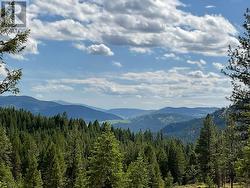 Lot 1 Nicholson Creek Road  Rock Creek, BC V0H 1Y0