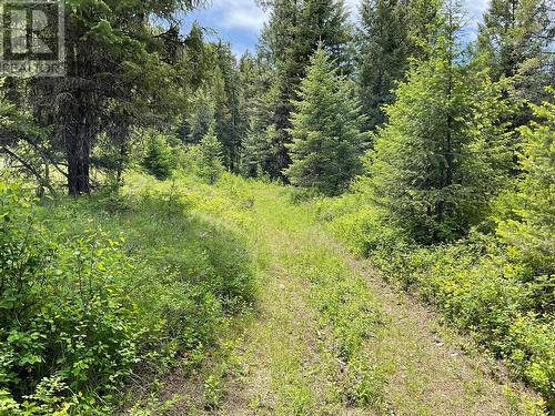 Lot 1 Nicholson Creek Road, Rock Creek, BC 