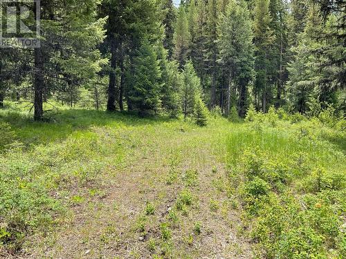 Lot 1 Nicholson Creek Road, Rock Creek, BC 