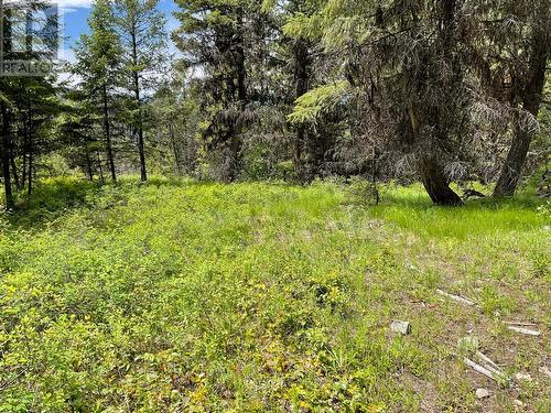 Lot 1 Nicholson Creek Road, Rock Creek, BC 