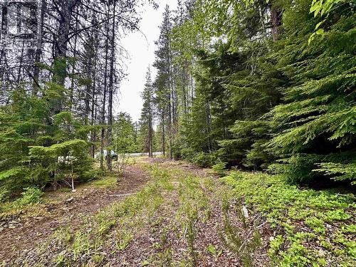 Lot C Kalum Lake Road, Terrace, BC 