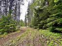 Lot C Kalum Lake Road, Terrace, BC 