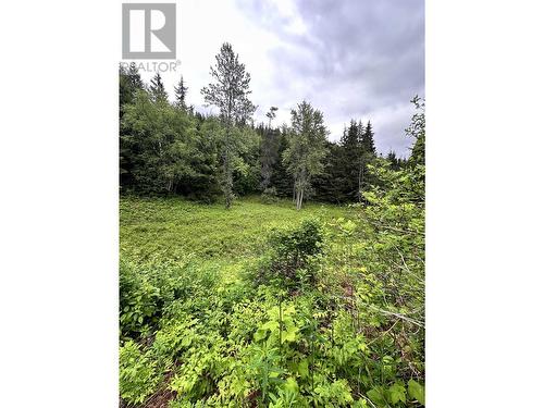 Lot C Kalum Lake Road, Terrace, BC 