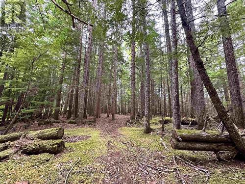 Lot C Kalum Lake Road, Terrace, BC 