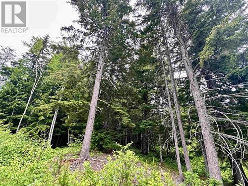 Lot C Kalum Lake Road, Terrace, BC 