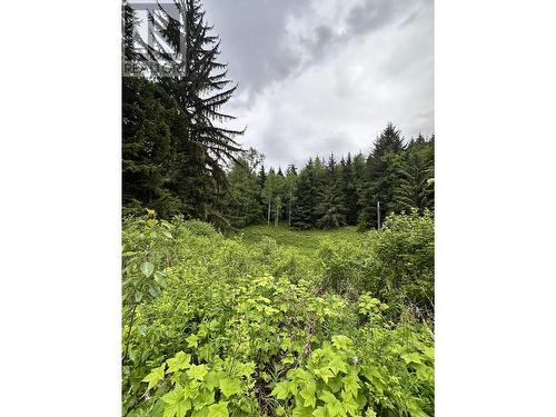 Lot C Kalum Lake Road, Terrace, BC 