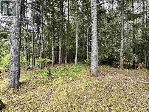 Lot C Kalum Lake Road, Terrace, BC 