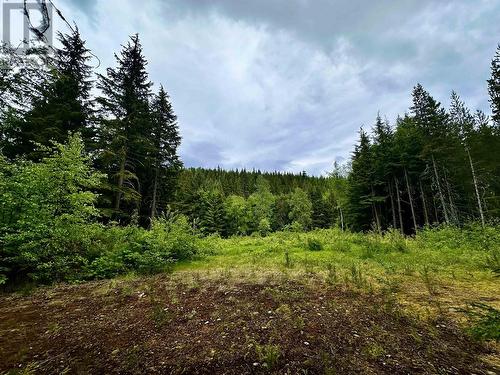 Lot C Kalum Lake Road, Terrace, BC 