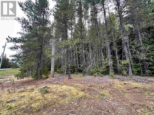 Lot C Kalum Lake Road, Terrace, BC 