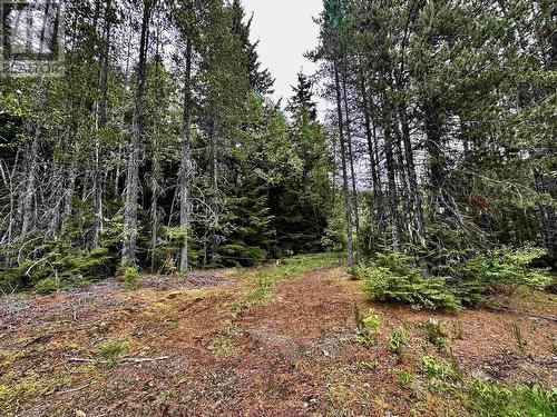 Lot C Kalum Lake Road, Terrace, BC 