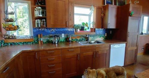 1067 Simmons Road, Creston, BC - Indoor Photo Showing Kitchen With Double Sink