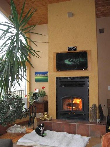 1067 Simmons Road, Creston, BC - Indoor Photo Showing Living Room With Fireplace