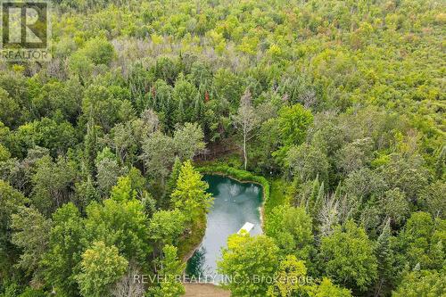 99 Kagawong Road, Kawartha Lakes, ON - Outdoor With Body Of Water With View