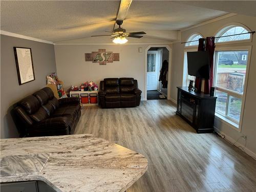 91 Elm Street, Brandon, MB - Indoor Photo Showing Living Room