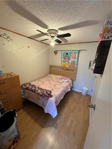 91 Elm Street, Brandon, MB - Indoor Photo Showing Bedroom