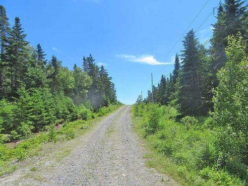 Lot 7 Oceanview Road, French Road, NS 