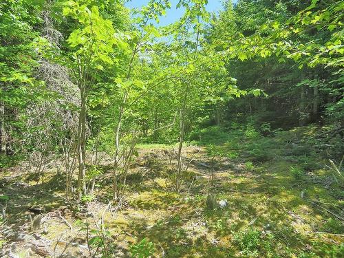 Lot 7 Oceanview Road, French Road, NS 