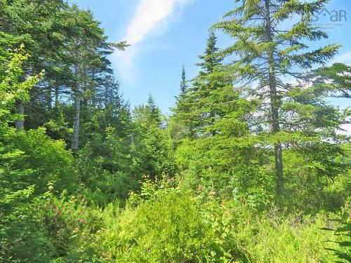 Lot 7 Oceanview Road, French Road, NS 