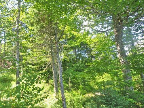 Lot 7 Oceanview Road, French Road, NS 