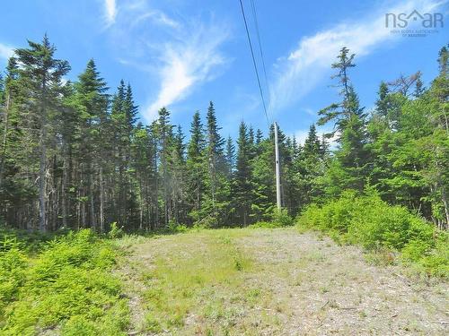 Lot 7 Oceanview Road, French Road, NS 