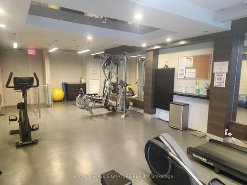 809-60 Annie Craig Dr, Toronto, ON - Indoor Photo Showing Gym Room