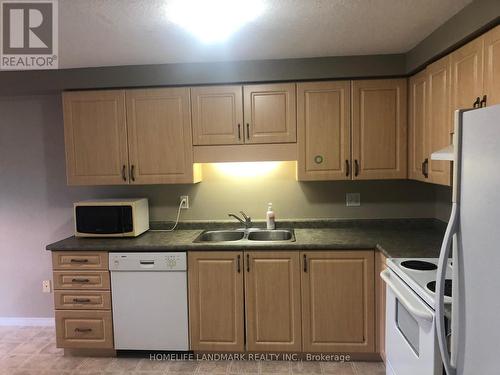 650 Wild Ginger Avenue, Waterloo, ON - Indoor Photo Showing Kitchen With Double Sink