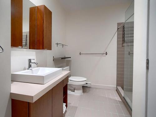 Salle de bains - 111-1015 Rue William, Montréal (Le Sud-Ouest), QC - Indoor Photo Showing Bathroom