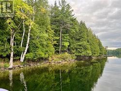 LOWER ACCESS POINT OF THE PROPERTY ON AN OVERCAST DAY - 