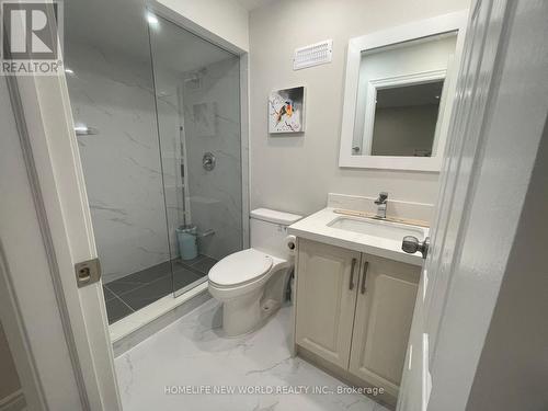 Bsmt - 62 Westchester Crescent, Markham, ON - Indoor Photo Showing Bathroom