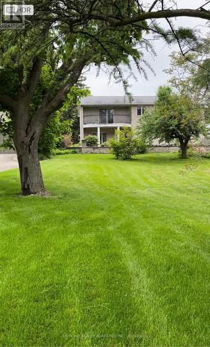 203 St Davids Road, Thorold, ON - Outdoor