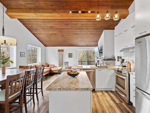 Kitchen - 8-111 Ch. De La Baie-Viau, Sainte-Agathe-Des-Monts, QC - Indoor