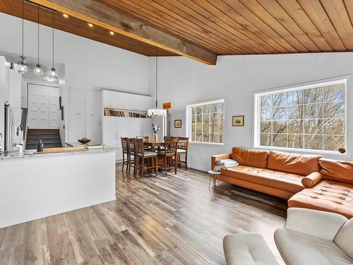 Salon - 8-111 Ch. De La Baie-Viau, Sainte-Agathe-Des-Monts, QC - Indoor Photo Showing Living Room