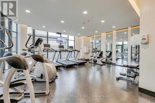 1102 - 99 The Donway West Road, Toronto, ON - Indoor Photo Showing Gym Room