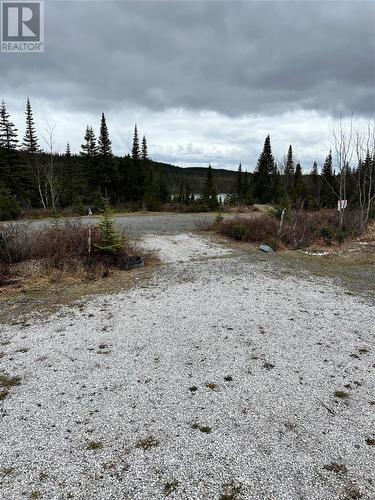 142639 Trailing Arm Road, Mount Moriah, NL - Outdoor With View