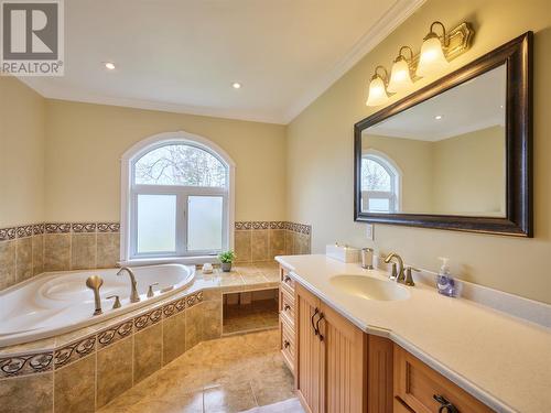 179 Nicholsville Road, Deer Lake, NL - Indoor Photo Showing Bathroom