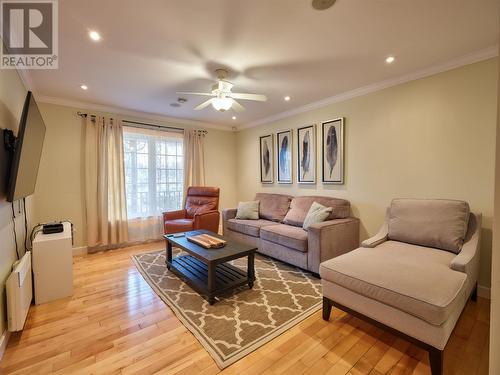 179 Nicholsville Road, Deer Lake, NL - Indoor Photo Showing Living Room