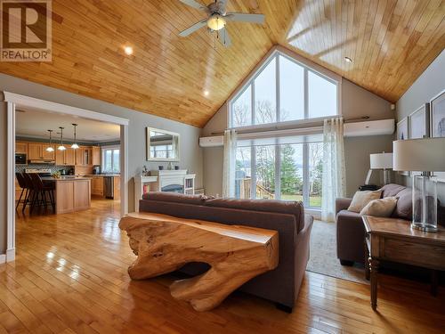 179 Nicholsville Road, Deer Lake, NL - Indoor Photo Showing Living Room