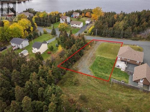 71 Indian Pond Drive, Seal Cove, NL - Outdoor With Body Of Water With View