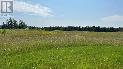 525 Cartyville Road, Cartyville, NL - Outdoor With View