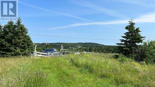 525 Cartyville Road, Cartyville, NL - Outdoor With View