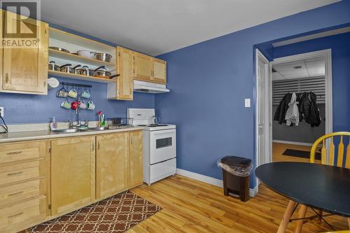 3 Gilmore Street, St. John'S, NL - Indoor Photo Showing Kitchen With Double Sink