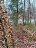 Lot 88-102 Bunker Hill Road, Campobello Island, NB 