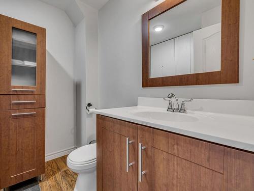 Powder room - 1 Mtée Du Boisé, Stoneham-Et-Tewkesbury, QC - Indoor Photo Showing Bathroom