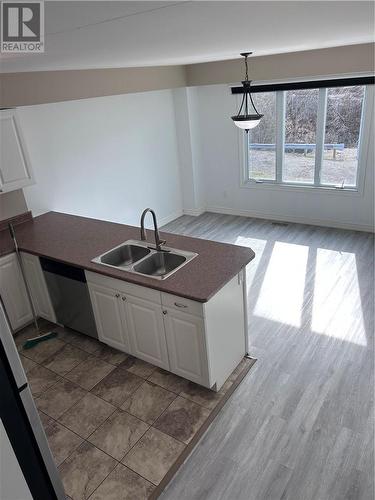 127 College Street, Sudbury, ON - Indoor Photo Showing Kitchen With Double Sink